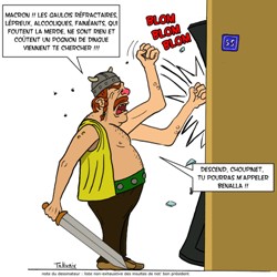 gaulois réfractaire